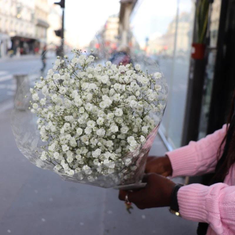 White Baby Breath Flower seeds, perennial Baby's Breath Flowers, gift for him her mom dad teacher organic gardening home decor DIY