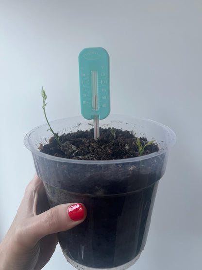 Propagator Thermometer in Fahrenheit & Celsius for indoors and outdoors, Greenhouse, Garden, Balcony, for small plants, seeds, propagations