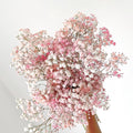 Pink & White Baby Breath seeds, perennial Baby's Breath Flowers, gift for him her mom dad teacher organic gardening, home decor DIY