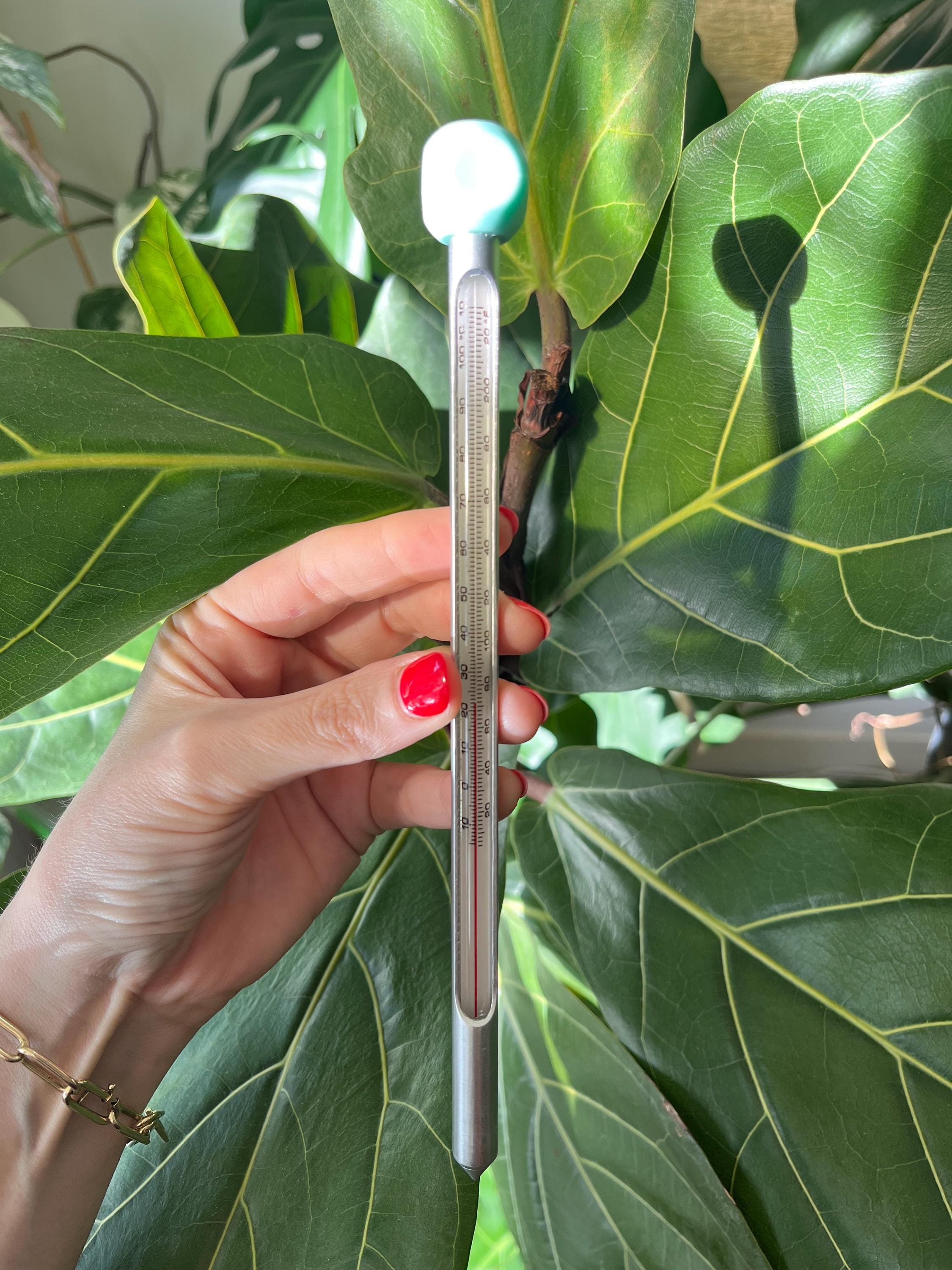 Soil Thermometer in Fahrenheit & Celsius for indoors and outdoors, for Potted Plants and for Garden Plants for All Soil Types