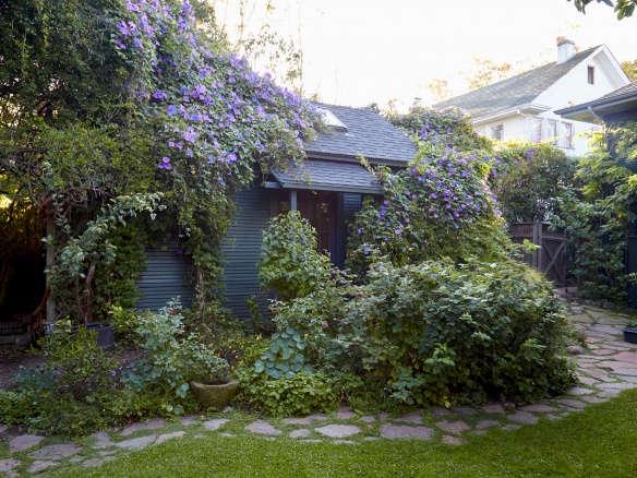 Cup and Saucer vine seeds, Cobaea scandens, flowering plant gift for him her mom dad teacher home decor birthday DIY gardening yard decor