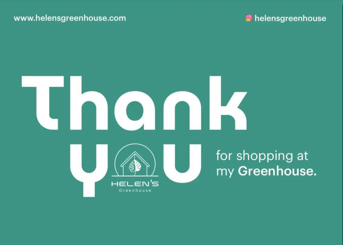 Pink Magnolia Flower seeds, Grow Your Own Flowering Magnolia Tree, with Simple Instructions, Frost Hardy Perennial