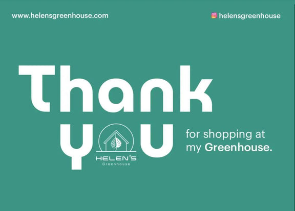 Red Maple Bonsai tree seeds, frost hardy perennial gift for him her mom dad teacher home decor birthday house plants DIY gardening easy care