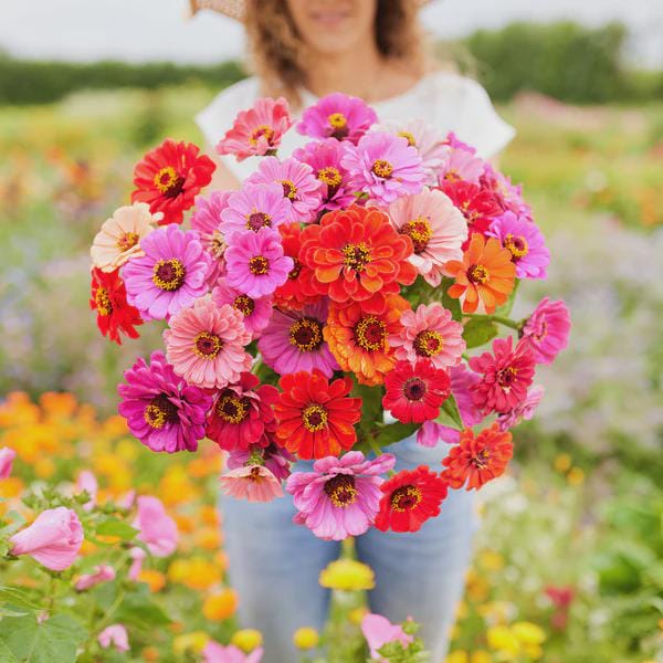 Zinnia Dahlia Flowered seeds, best gift for him her mom dad teacher DIY flowering yard plants birthday bouquet