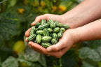 Mini Watermelon Seeds: Mouse Melon, DIY Fruit & Vegetables, Fun and Easy to Grow