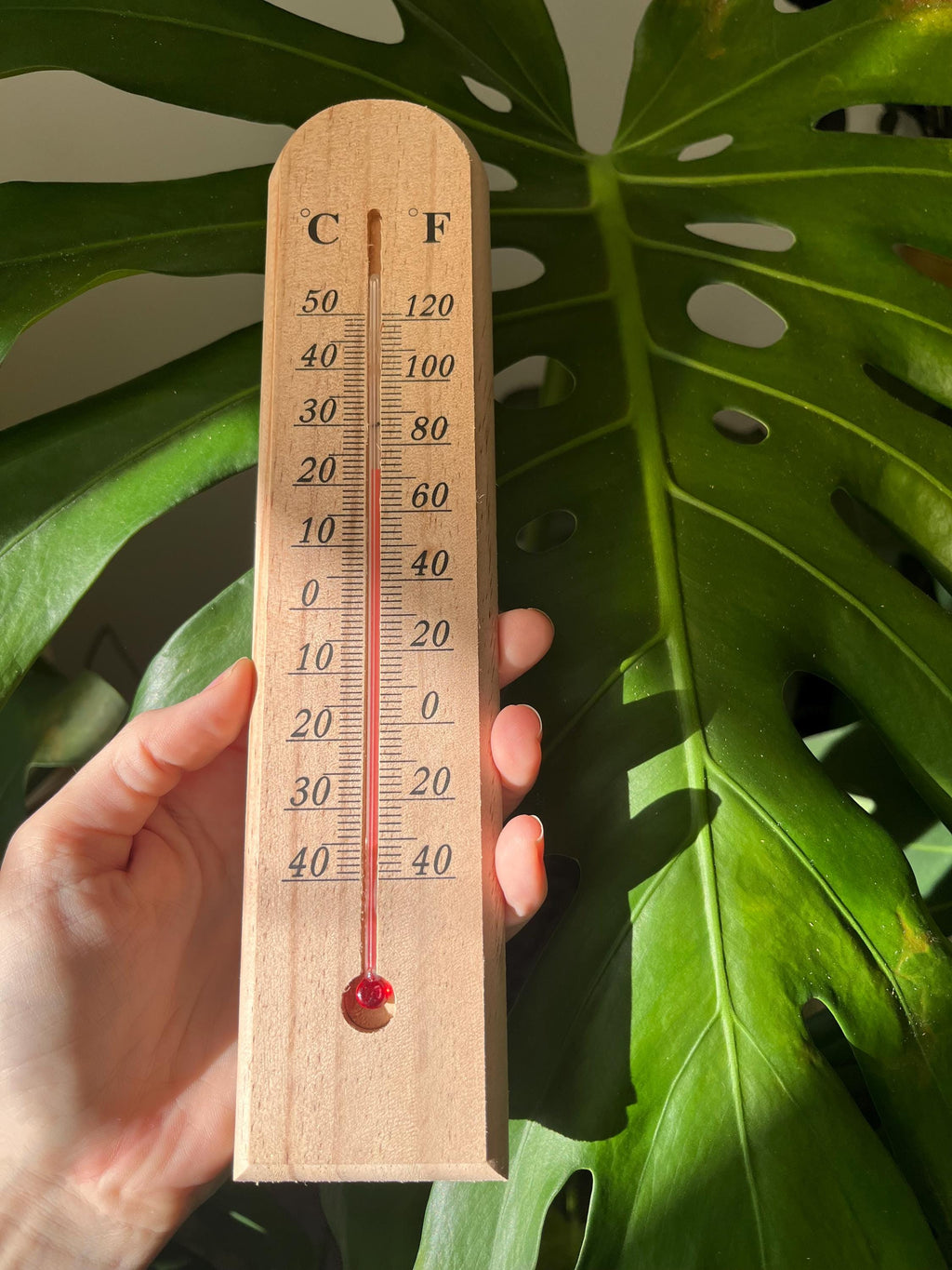 Wooden Wall Thermometer: in Celsius and Fahrenheit, Vintage Looking Gardening Tool for indoors and outdoors, Light Wood or Dark Wood