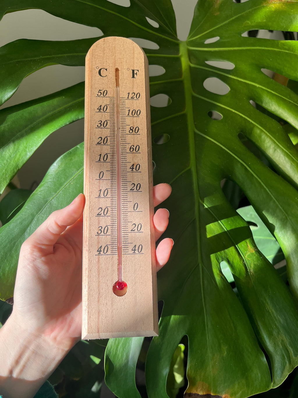 Wooden Wall Thermometer: in Celsius and Fahrenheit, Vintage Looking Gardening Tool for indoors and outdoors, Light Wood or Dark Wood