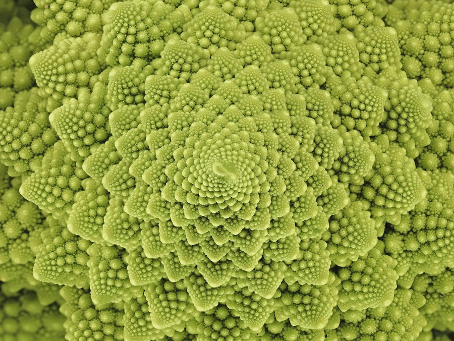 Organic Roman Cauliflower Seeds, Superfood, Easy to Grow, Fruit & Vegetables, Gardening, Organic Seeds from Italy