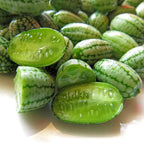 Mini Watermelon Seeds: Mouse Melon, DIY Fruit & Vegetables, Fun and Easy to Grow