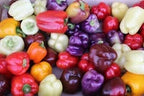 5 Different Color Sweet Pepper Seeds