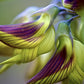 Bird Flower Seeds