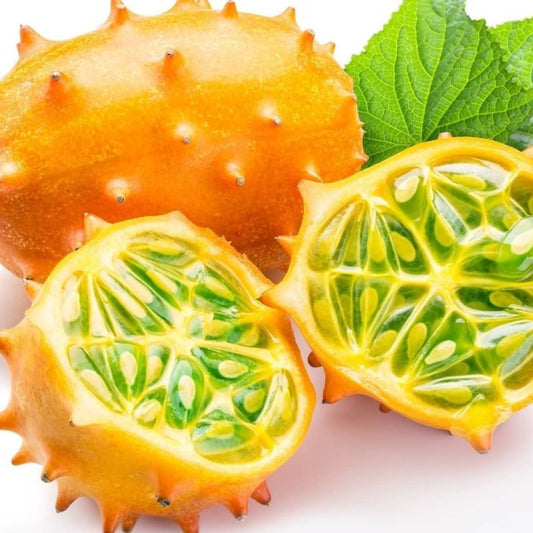 The Unbelievable Spiky Melon seeds, fun and easy to grow, the coolest fruit to grow and eat! Delicious and Amazing, organic, Fast shipping