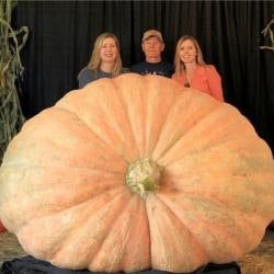 XXXL Pumpkin seeds, Atlantic Giant, a really cool gift for all plant lovers and gardeners, fun & easy to grow, can be grown in all zones