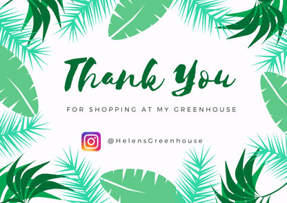 Black Tomato Seeds, Vibrant Red and Black, fun and easy to grow, gift idea, gardening, organic, kids love these, can be grown in all zones